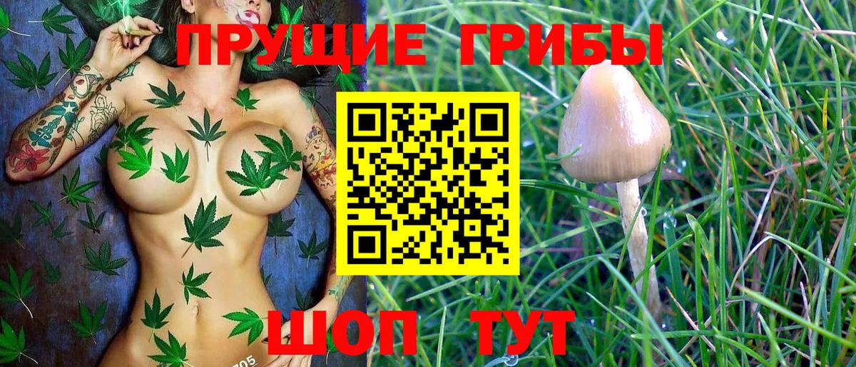 Саяногорск  Галлюциногенные грибы Psilocybe  цена   Вход с VPN 