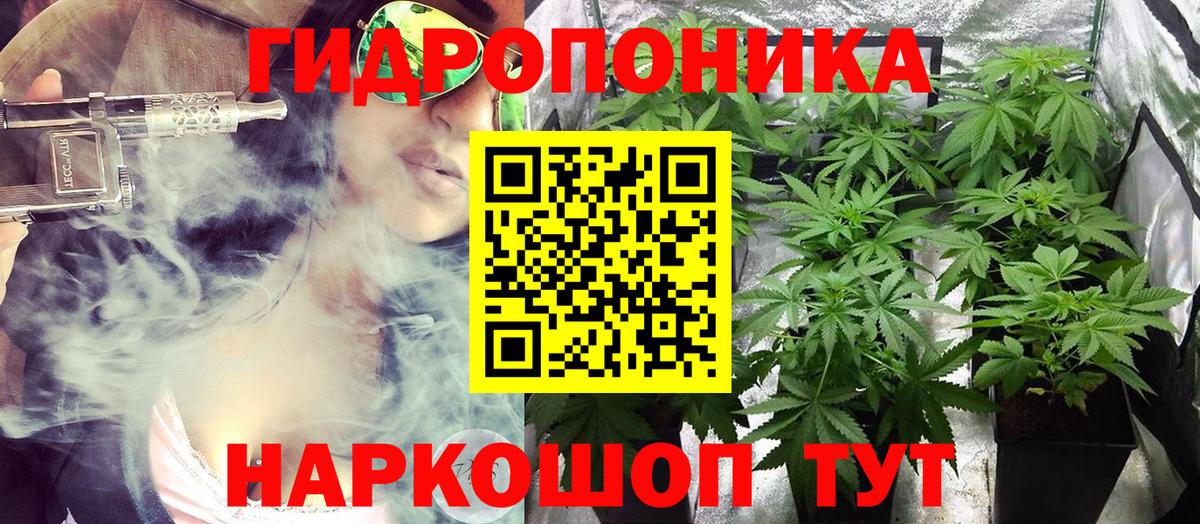 МАРИХУАНА планчик  Вход с VPN  Саяногорск  Каннабис SATIVA & INDICA  Бошки марихуана THC 21% 